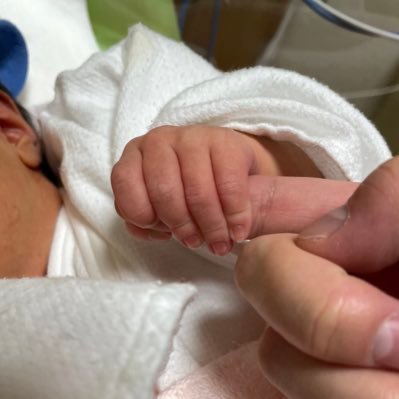 krm316's profile picture. 2021.4.3💍 2022.9.2👶　スピッツ