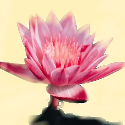 Revathiさんのプロフィール画像