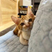 체리🍒피치🍑나나🍌스틴🥭 (@cherrypeach0318) 's Twitter Profile Photo