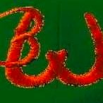 RBenchwarmer's profile picture. Randy Benson writes a weekly column on Big Ten volleyball for Benchwarmer Sports Media. Email: randy.the.author@gmail.com