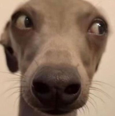 k60587570's profile picture. 