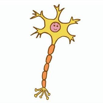 社不で陰キャのミドリムシ♂/地方医学生M5/気軽に絡んで下さい/特定したら質問箱まで