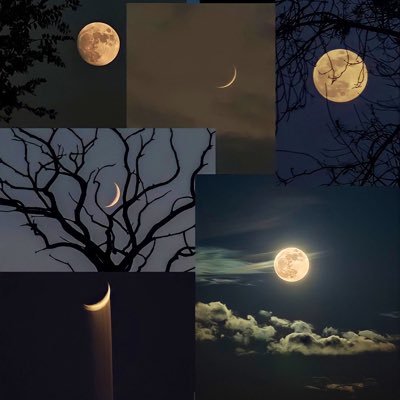 its_hana1999's profile picture. just me.