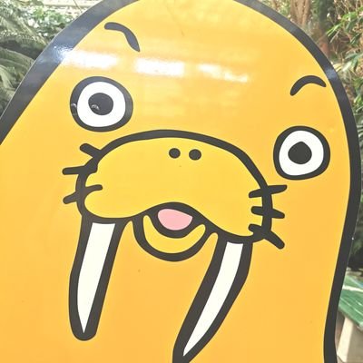 モモモッスさんのプロフィール画像