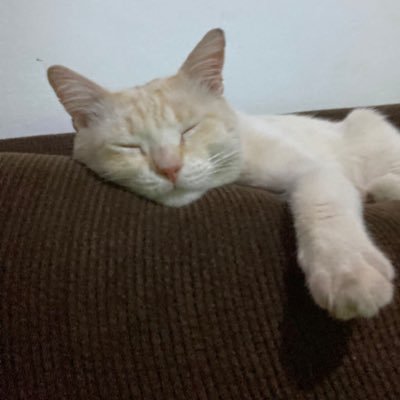 ArckDhircKahyos's profile picture.