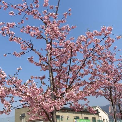 t1rYKyfK6L00j6f's profile picture. 無言フォロー失礼します🙇‍♂️ #花園近鉄ライナーズ/#コベルコ神戸スティーラーズ/#Mリーグ