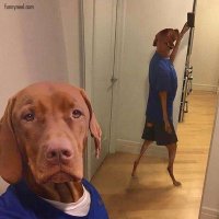 Albert | Hall (@alberthall77) 's Twitter Profile