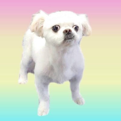 2csJZEUGzMbqiDV's profile picture. ♡2016.6.23🧑‍🤝‍🧑♡2019.5.1Marriage💍♡2019.8.24Party👗♡2022.10.23👶♡ 愛娘2歳9ヶ月 ♡https://t.co/a828GY6mMy