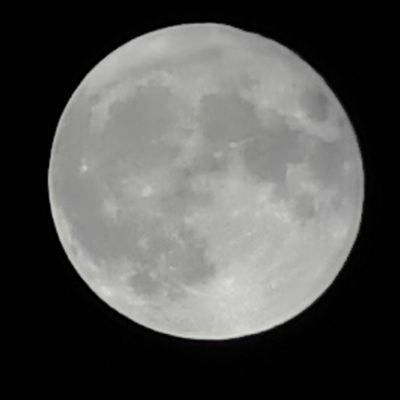 code9396's profile picture. 颜控！