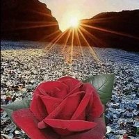 m (@6e6hub40ejnsppv) 's Twitter Profile