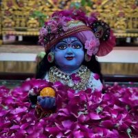 deepika_mishra120068 (@deepika85346522) 's Twitter Profile