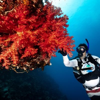 Research Scientist at @RSRC_KAUST. Coral reef ecologist, studying thermal-tolerance on coral eco-physiology. Probiotics on coral restoration and rearing #redsea