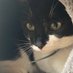 Leoโs mum ๐ป (@spbelhaven) Twitter profile photo Leoโs mum ๐ป (@spbelhaven) Twitter profile photo