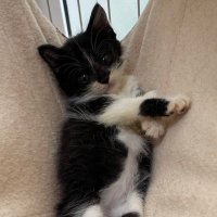 Keiya Miura (@3y9mz) 's Twitter Profile