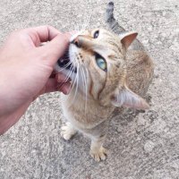 paperpillar (@paper_pillar) 's Twitter Profile