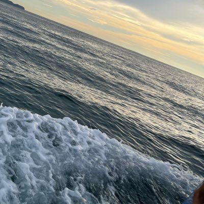 dadysowl's profile picture. 