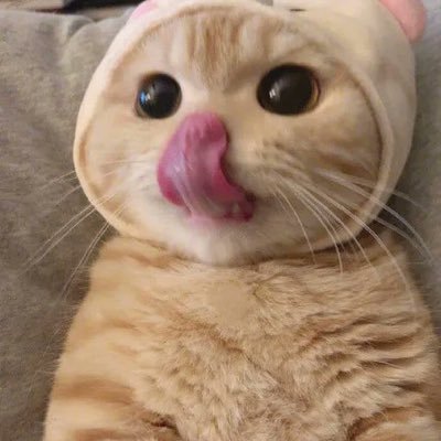 FemboyAbby's profile picture. bye