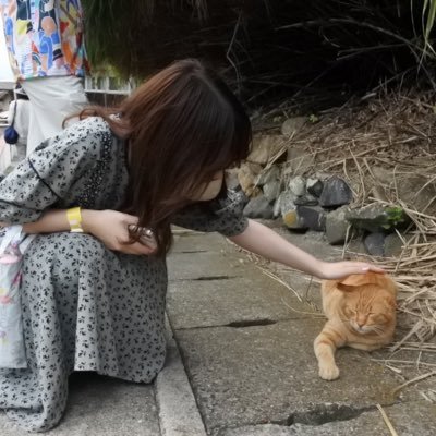 Pin10Rina's profile picture. 社畜のアイドルオタクです🐼🦦💙Dのオタクもしています🐰