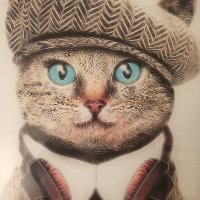 Specter of Happiness ๐บ๐ต๐ธโ๏ธ (@cleeseraymond) 's Twitter Profile Photo Specter of Happiness ๐บ๐ต๐ธโ๏ธ (@cleeseraymond) 's Twitter Profile Photo