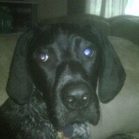 beneth (@beneth) 's Twitter Profile