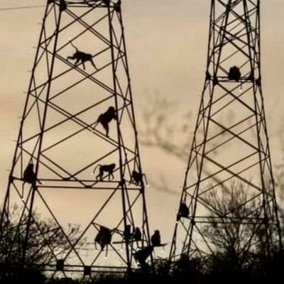 bees_broer's profile picture. White male in Centurion