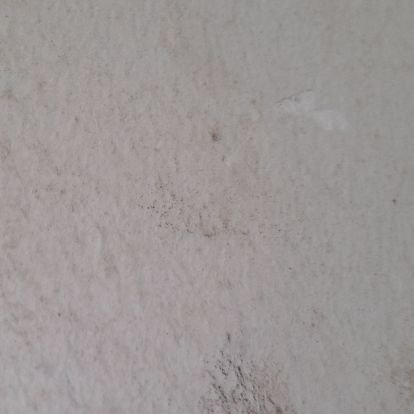 ibrahim_chiroma's profile picture. Reading, coding,