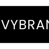 VyBrant Digitals(@vybrantdigitals) 's Twitter Profile Photo