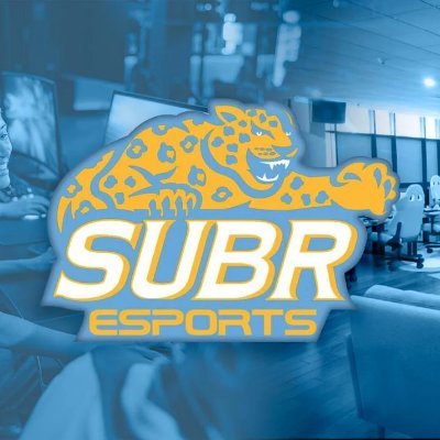 subr_esports Profile Picture