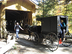 BulaCvrdBridges's profile picture. Lover of our covered bridges.....we have the shortest and the longest in North America!