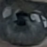 Twit_ter blip (@fvsomething) 's Twitter Profile