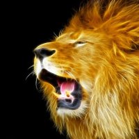 The Atlas Lions (@theatlaslions) 's Twitter Profile