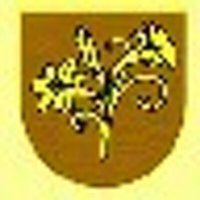 St Josephs 💛 (@stjosephs775) 's Twitter Profile Photo