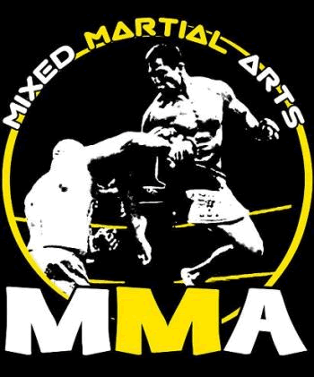 Informações sobre o mundo do UFC e MMA