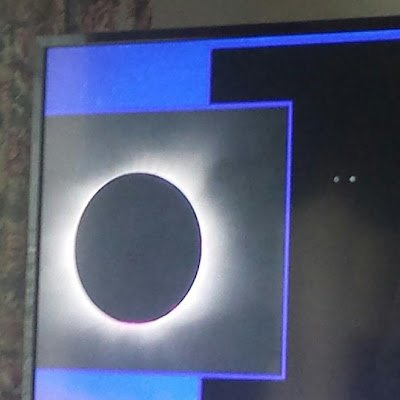 buffalo_tk's profile picture. 