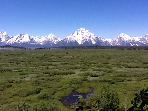 P3F6O5's profile picture. 