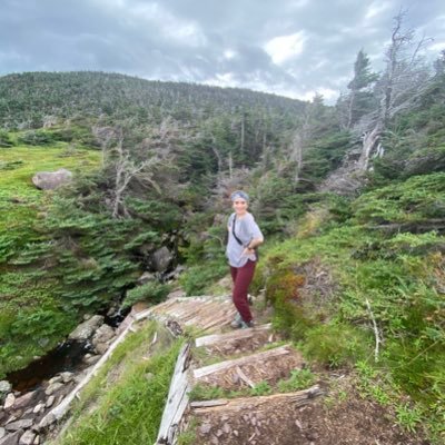 Monashahwan1's profile picture. 🎈