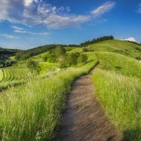 Mert (@mert4900) 's Twitter Profile