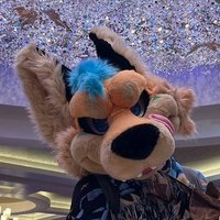 pongo fox (@pongofox) 's Twitter Profile
