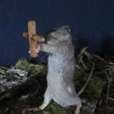 hochy_zoro's profile picture. 