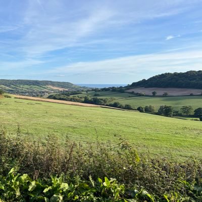 NicholasGomers2's profile picture. Husband, father. British refugee.