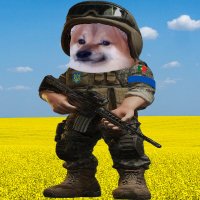 skullsplitterr 🇵🇹 🇺🇦 🇮🇱 (@skullsplitterr) 's Twitter Profile