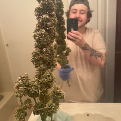 Props23322's profile picture. Married to the drug game. want my demon girl. I’m an addict not afraid to admit my problems. join me through my pens. JUDGE AWAY ✌️