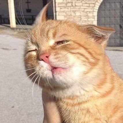 mlgswag123's profile picture. 21. no good account, stay away