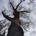 Rogelio Cortés - @RogelioCorts17 - Twitter