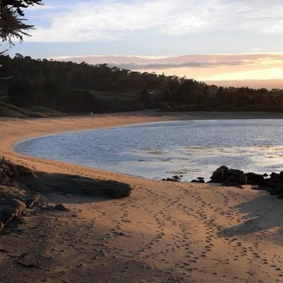 aluxinder's profile picture. the simplest things in life