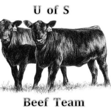 Official University of Saskatchewan Beef Team Club 🇨🇦 - Educating Future Beef Producers & Anyone Interested! 🥩