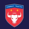 CheadleTownFC's profile picture. The official X page for Cheadle Town FC, members of the @nwcfl and based in Greater Manchester.
@CheadleStingers | @CheadleTownJrs | #WeAreCheadle