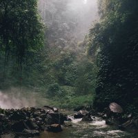 Meditate Sounds (@meditatesounds1) 's Twitter Profile