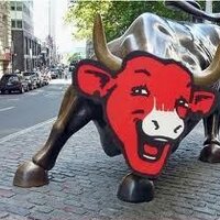 Builder Bull(@laughingbulls) 's Twitter Profile Photo