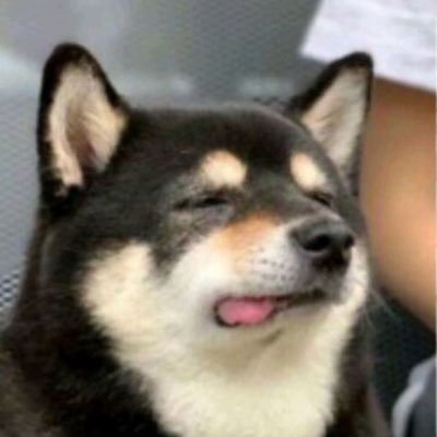 wahfvnsn's profile picture. 